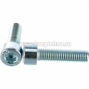 ���� DIN912  �10*80 � ���������� 6�� (�����) �� �� 8.8 ���