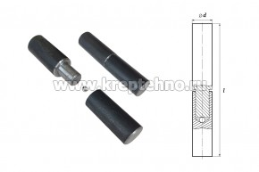 ����� �������� � ������� �� 18*120 