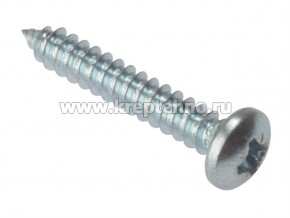 ����� � ����������� ��������, ������ 4,8*19 (�����)  DIN7981