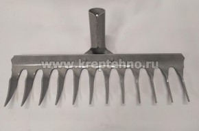 ������ �/� 12 ������,  ����