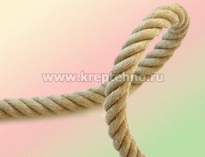 �������� ����� 19�� (�) (������� 50�)