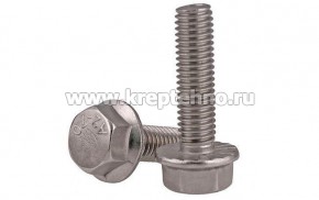 ���� ������������ � ������� �6*20  DIN6921 ����. ����� �2 