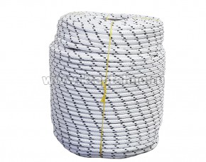 ���� ����������� ��������  10��, 24��, ����.����. 1650���, 200�