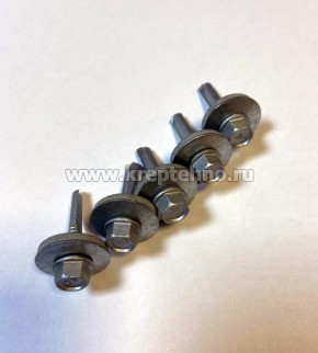 ������� ���������� 5,5*76(80) D8  6-����, ����. ������16 ��, �� �������, �������� Ruspert, OF